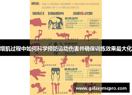 增肌过程中如何科学预防运动伤害并确保训练效果最大化